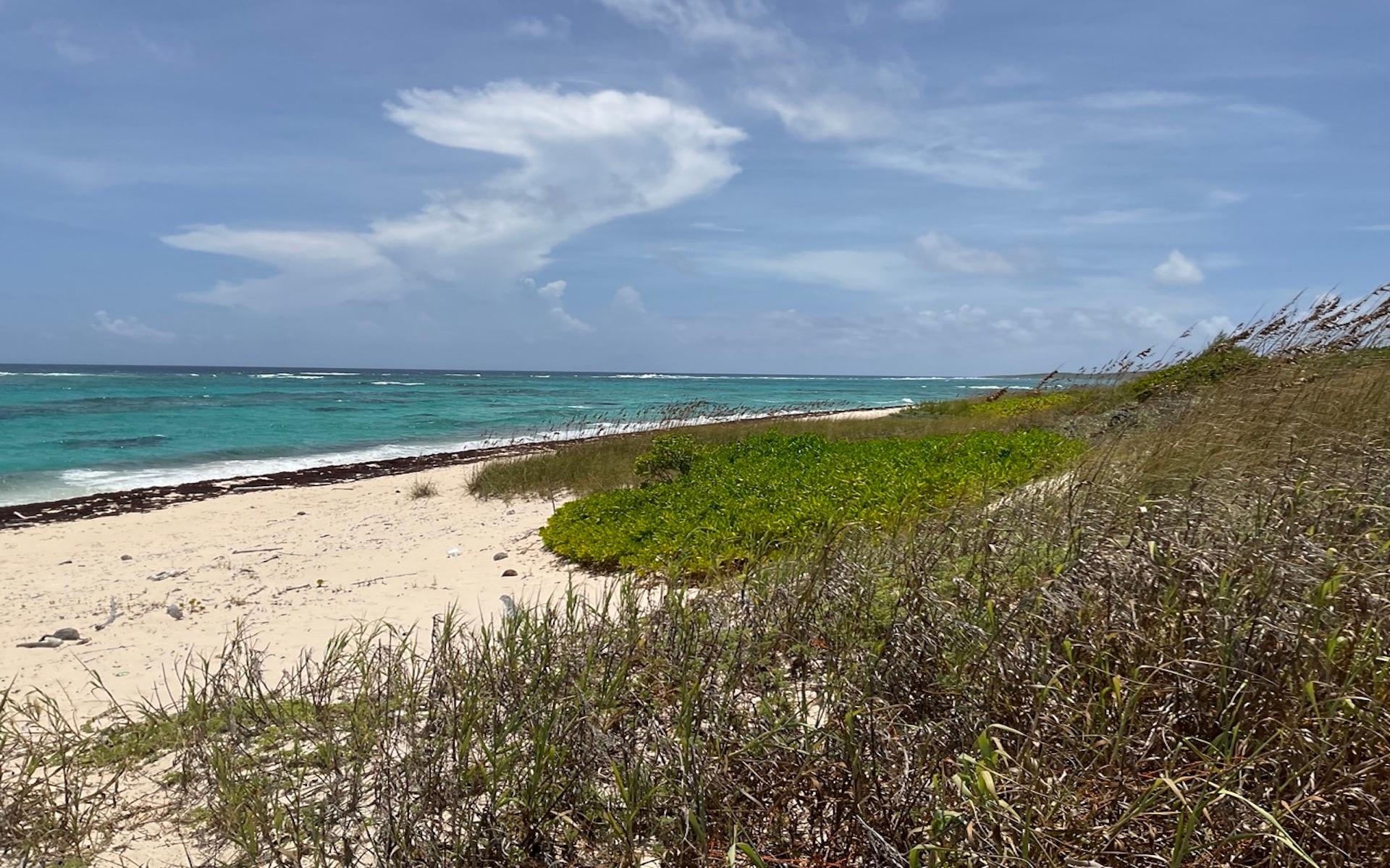 /listing-lots-acreage-in-morrisville-81881.html from Coldwell Banker Bahamas Real Estate
