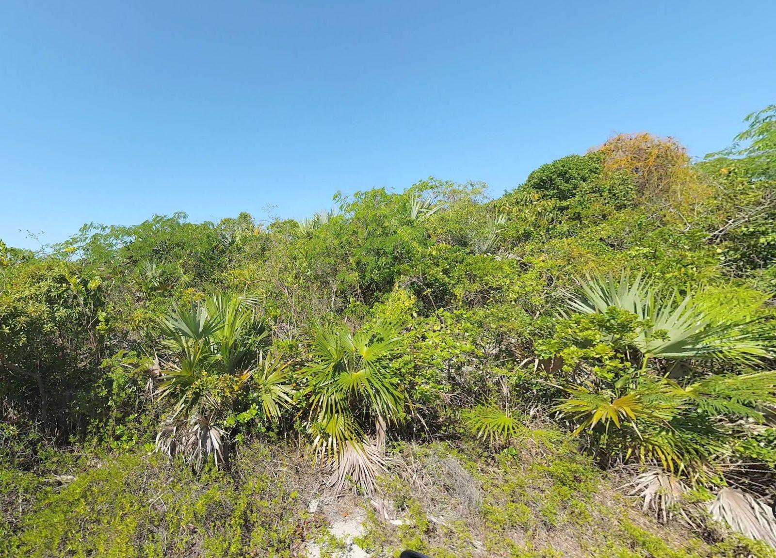 /listing-lots-acreage-in-bahama-sound-82762.html from Coldwell Banker Bahamas Real Estate