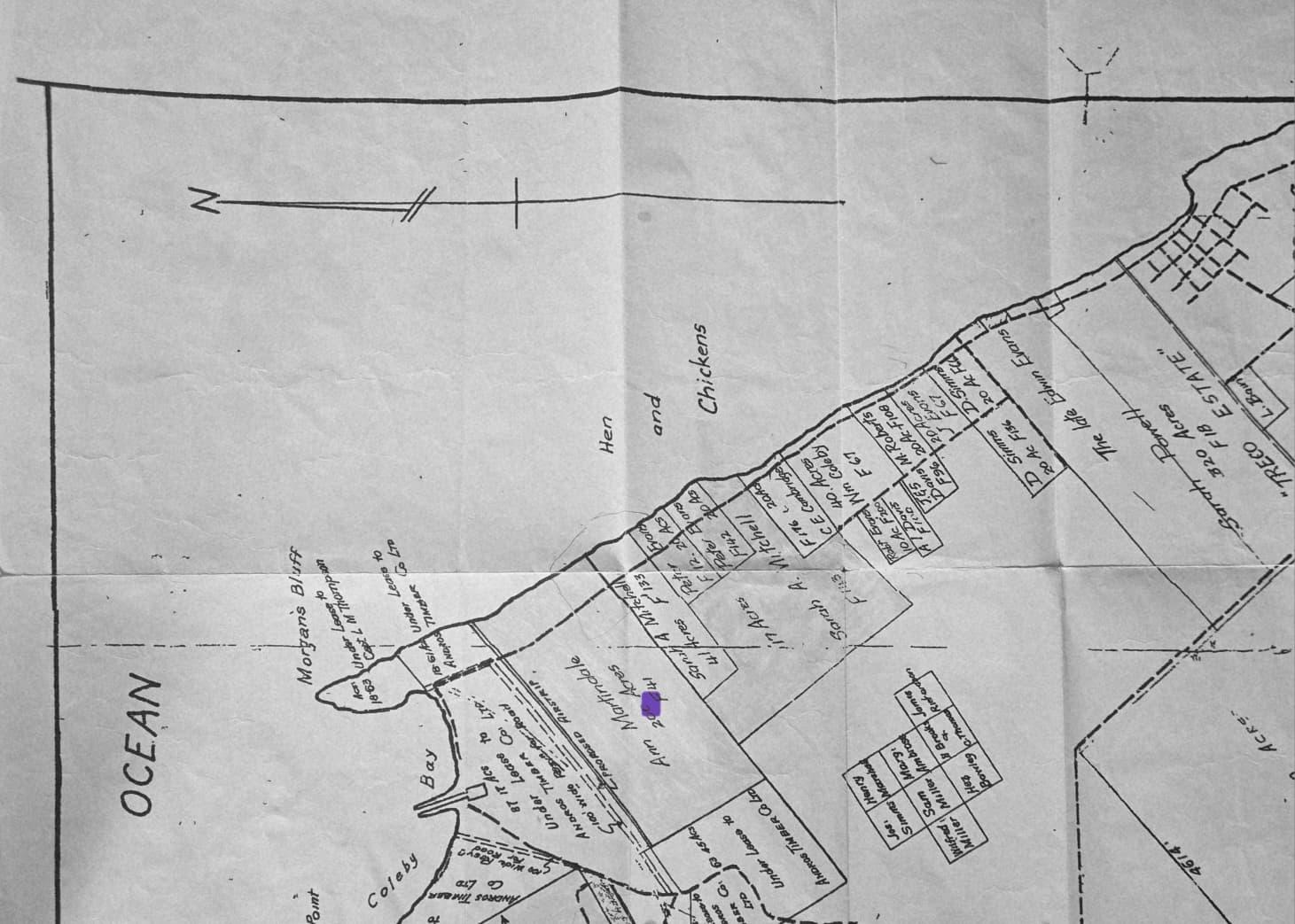 /listing-lots-acreage-in-nicholls-town-82016.html from Coldwell Banker Bahamas Real Estate