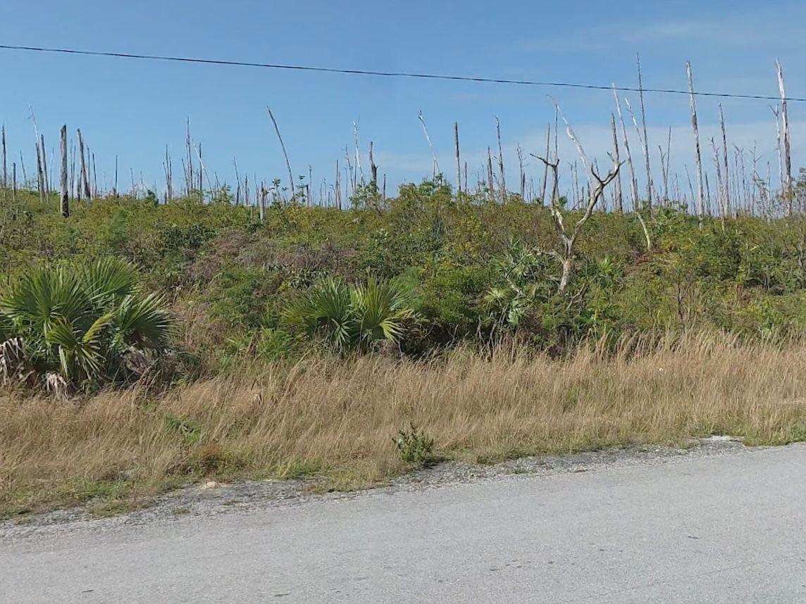 /listing-lots-acreage-in-treasure-cay-82226.html from Coldwell Banker Bahamas Real Estate