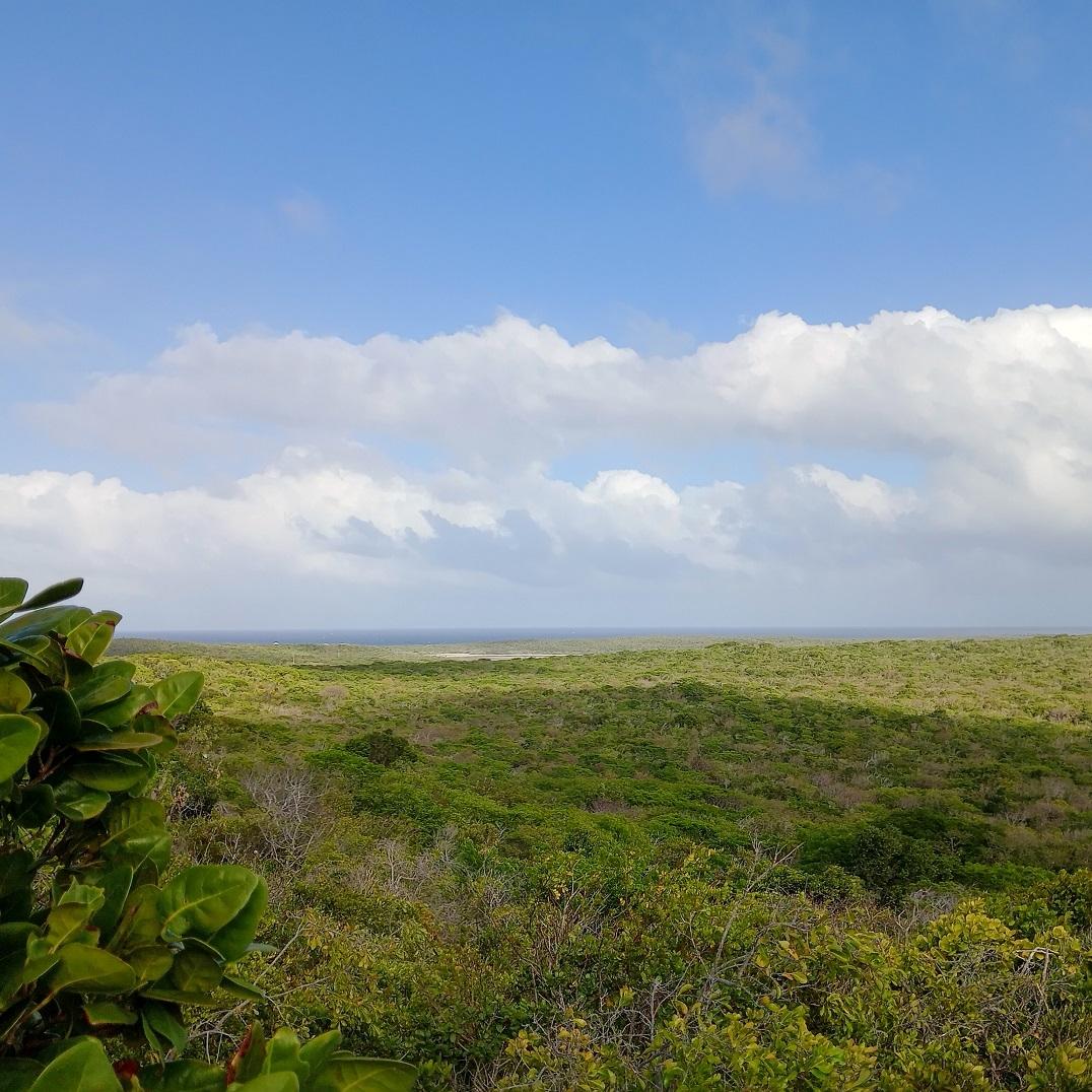 /listing-lots-acreage-in-salt-pond-82221.html from Coldwell Banker Bahamas Real Estate