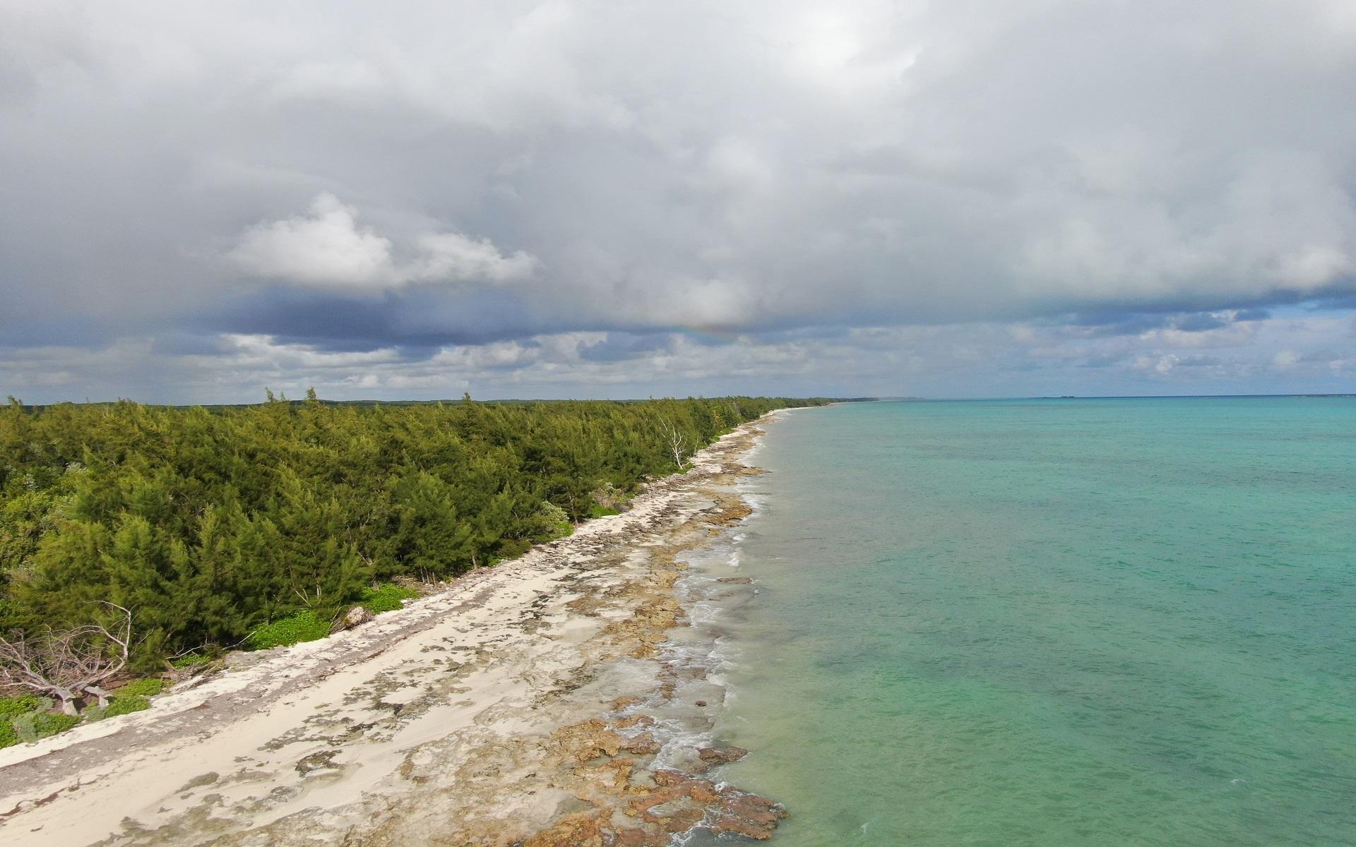 /listing-lots-acreage-in-congo-town-82161.html from Coldwell Banker Bahamas Real Estate