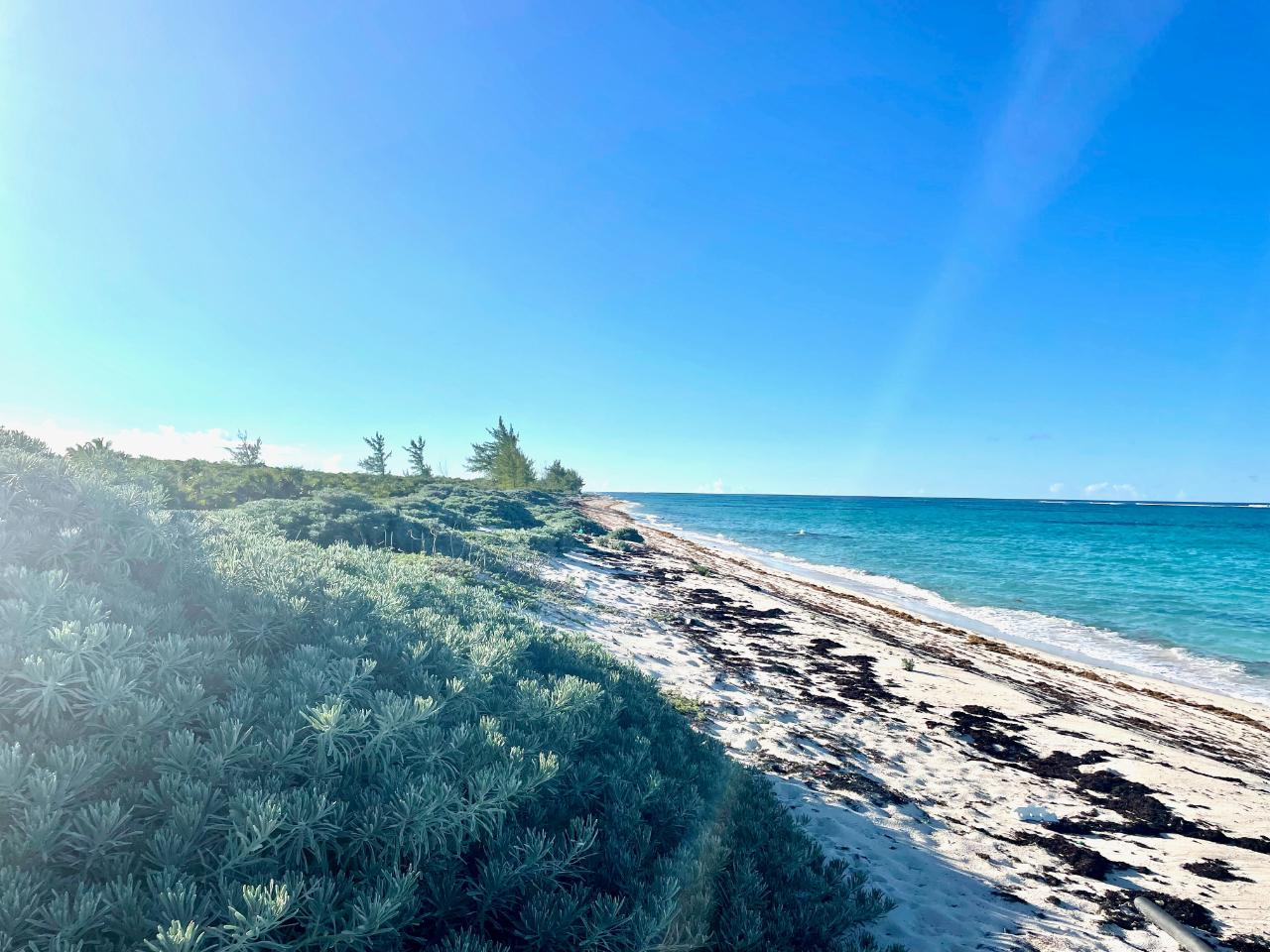 /listing-lots-acreage-in-arthurs-town-82205.html from Coldwell Banker Bahamas Real Estate