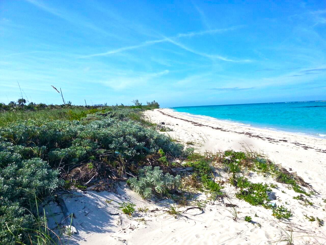 /listing-lots-acreage-in-arthurs-town-82178.html from Coldwell Banker Bahamas Real Estate