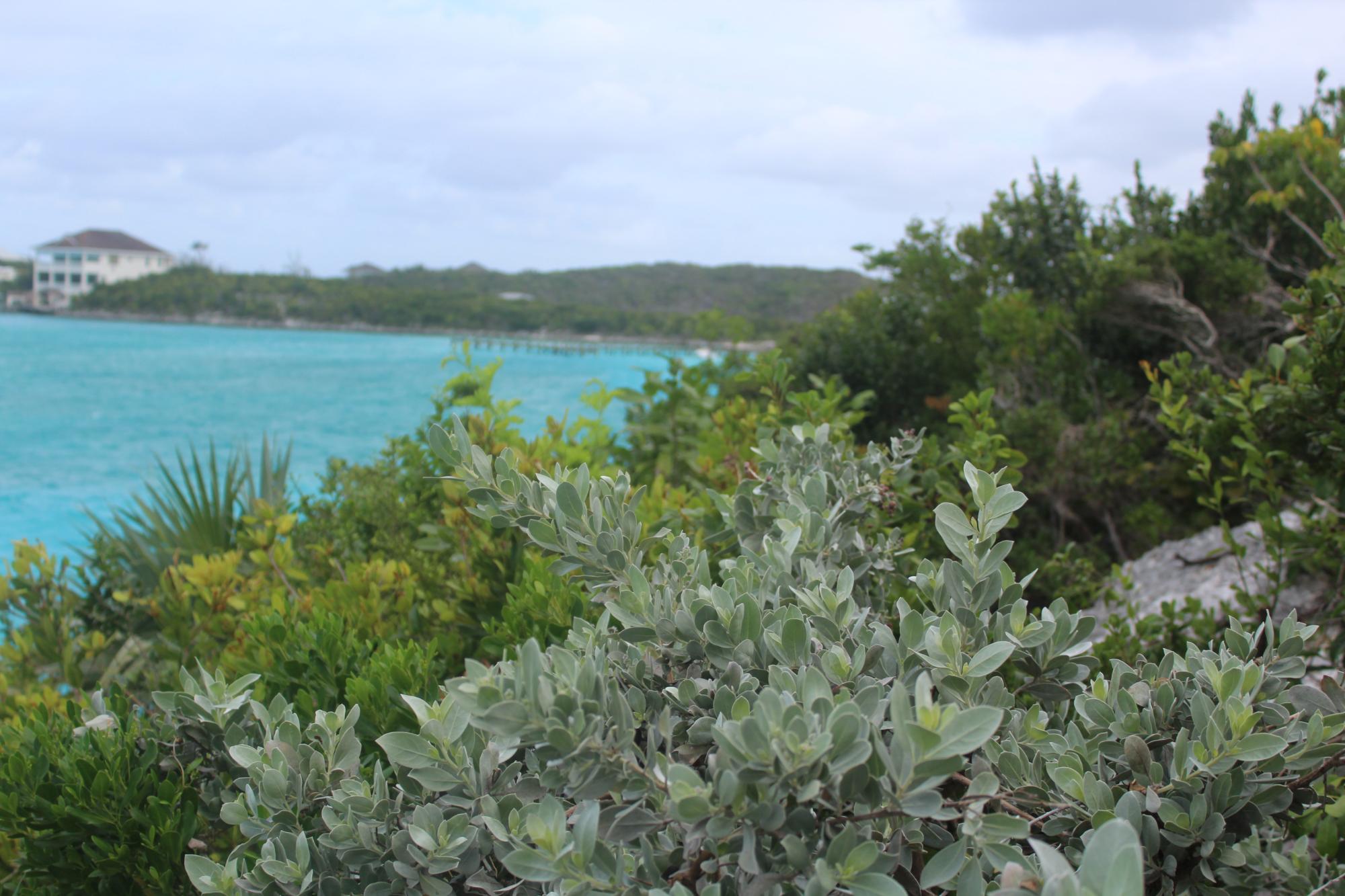/listing-lots-acreage-in-staniel-cay-82272.html from Coldwell Banker Bahamas Real Estate